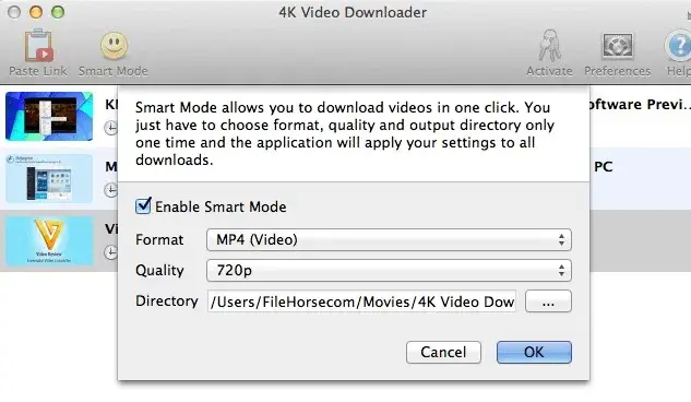 4K video downloader